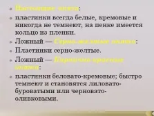 Презентація - гриби