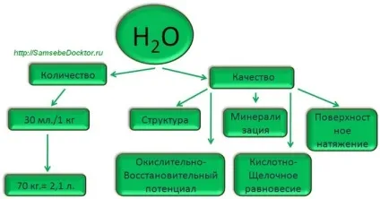 Правильне харчування клітини організму (Порушення харчування клітини) Правильне харчування клітини організму