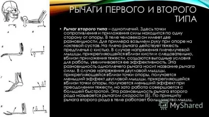 Презентація на тему важелі в тілі людини приводячи в рух кістку, м'яз діє на неї, як (що має точку опори) Презентація на тему важелі в тілі людини приводячи в рух кістку, м'яз діє на неї, як