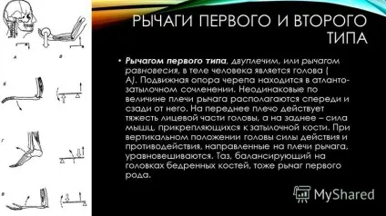 Презентація на тему важелі в тілі людини приводячи в рух кістку, м'яз діє на неї, як (теле) Презентація на тему важелі в тілі людини приводячи в рух кістку, м'яз діє на неї, як