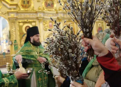 Свято вербну неділю 2017 як відзначають це свято вУкаіни традиції і обряди (свято) Свято вербну неділю 2017 як відзначають це свято вУкаіни традиції і обряди