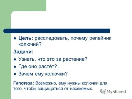 Презентація на тему цікава рослина - реп'ях виконала покришка дарья, учениця 2в класу (учениця 2в класу.) Презентація на тему цікава рослина - реп'ях виконала покришка дарья, учениця 2в класу