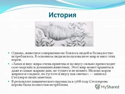 Презентація на тему морська корова морська корова (морська корова) вимерла тварина загону (корова) Презентація на тему морська корова морська корова (морська корова) вимерла тварина загону