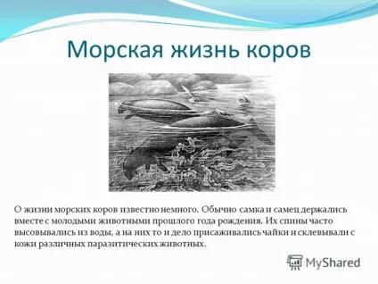 Презентація на тему морська корова морська корова (морська корова) вимерла тварина загону (морська) Презентація на тему морська корова морська корова (морська корова) вимерла тварина загону