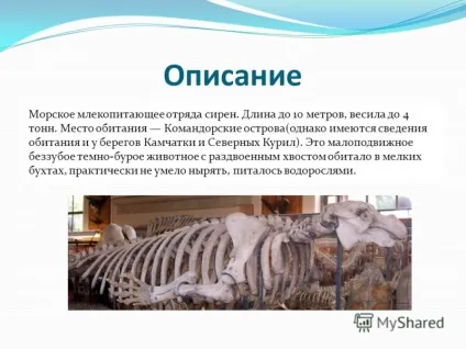 Презентація на тему морська корова морська корова (морська корова) вимерла тварина загону (ллерова) Презентація на тему морська корова морська корова (морська корова) вимерла тварина загону