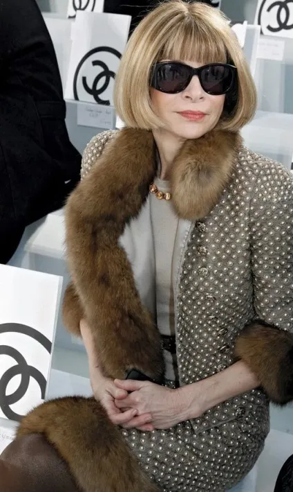 Правила стилю від Анна Вінтур (мода) Правила стилю від Анна Вінтур