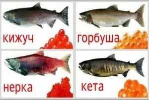 Продукти, що містять холестерин повний перелік