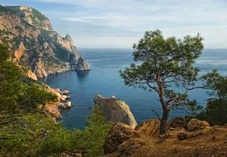 Природа рослини і тварини криму (рослини) Природа рослини і тварини криму