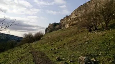 Природа рослини і тварини криму (криму) Природа рослини і тварини криму