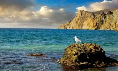 Природа рослини і тварини криму (рослини) Природа рослини і тварини криму