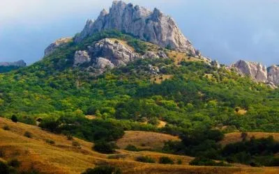Природа рослини і тварини криму (рослини) Природа рослини і тварини криму