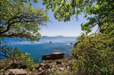 Природа рослини і тварини криму (рослини) Природа рослини і тварини криму
