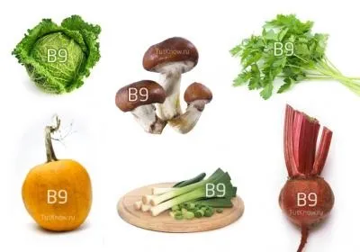 Продукти підвищують лейкоцити в крові огляд і рекомендації (їжа підвищує лейкоцити) Продукти підвищують лейкоцити в крові огляд і рекомендації
