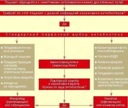 Проблеми антибактеріальної терапії при інфекціях нижніх дихальних шляхів, # 04 (терапії) Проблеми антибактеріальної терапії при інфекціях нижніх дихальних шляхів, # 04