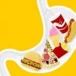 Процес перетравлення їжі