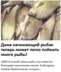 Пройшли сонливість і задишка - гемоглобін і імунітет (імунітет) Пройшли сонливість і задишка - гемоглобін і імунітет