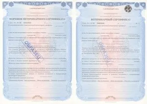 Подорожуємо з собакою