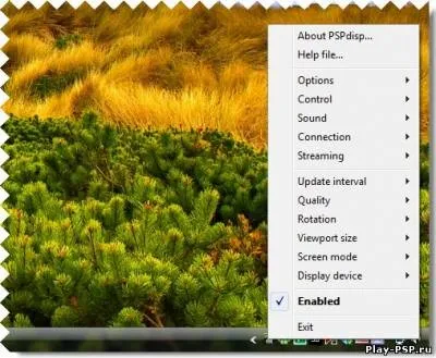 Pspdisp v0