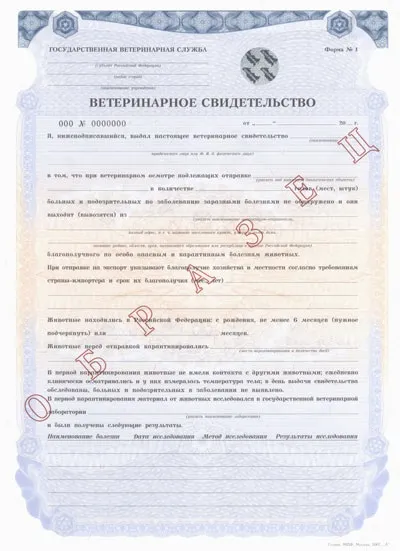 Подорожуємо з собакою