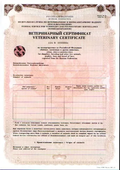 Подорожуємо з собакою