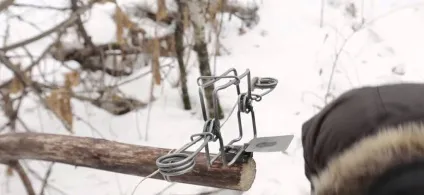 Прохідний капкан на бобра своїми руками (руками) Прохідний капкан на бобра своїми руками