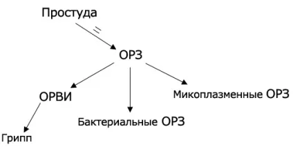 Застуда, ГРВІ, ГРЗ, грип і чим вони небезпечні (ГРВІ) Застуда, ГРВІ, ГРЗ, грип і чим вони небезпечні