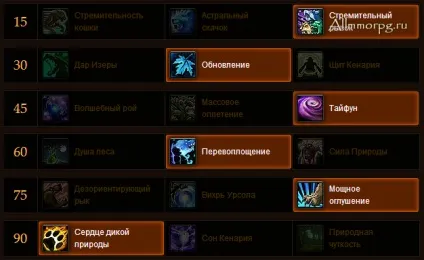 Pvp гайд по Фера друїди 5