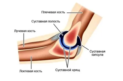 Проведення магнітно-резонансної томографії ліктьового суглоба (ліктя Ліктьовий суглоб) Проведення магнітно-резонансної томографії ліктьового суглоба