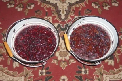 Процес (етапи) виробництва вина в домашніх умовах з сорту винограду «Ізабелла» (процес) Процес (етапи) виробництва вина в домашніх умовах з сорту винограду «Ізабелла»