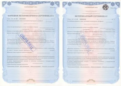 Подорожуємо з собакою