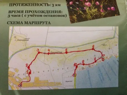 Прогулянка по заповіднику казантип, легким на підйом (заповідник казантип крим) Прогулянка по заповіднику казантип, легким на підйом