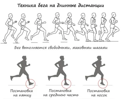 Пульс при бігу як розрахувати норму, правила бігу для різних цілей (вік макс вік) Пульс при бігу як розрахувати норму, правила бігу для різних цілей