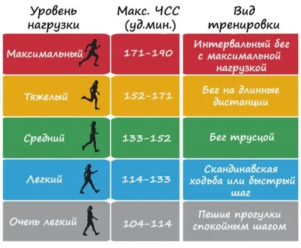 Пульс при бігу як розрахувати норму, правила бігу для різних цілей (правила) Пульс при бігу як розрахувати норму, правила бігу для різних цілей