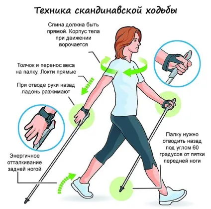 Пульс при бігу як розрахувати норму, правила бігу для різних цілей (пульс) Пульс при бігу як розрахувати норму, правила бігу для різних цілей