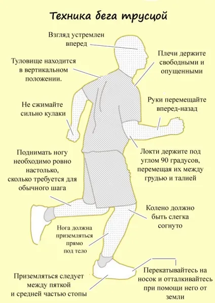 Пульс при бігу як розрахувати норму, правила бігу для різних цілей (вік макс вік) Пульс при бігу як розрахувати норму, правила бігу для різних цілей