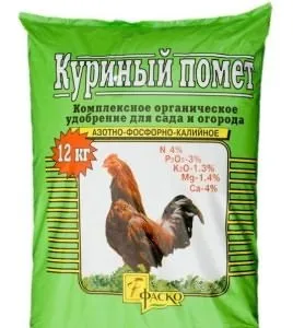 ростуть огірки