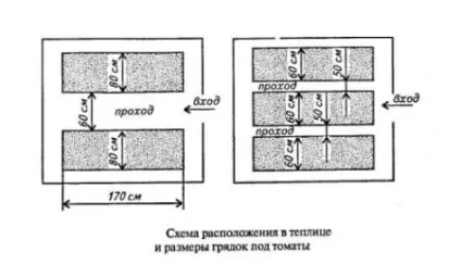 ростуть огірки