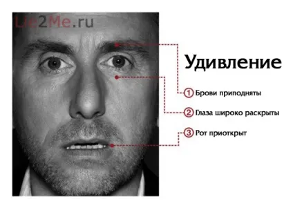 Розвиток емпатії, як розвинути емпатію, емпатія (емпатію) Розвиток емпатії, як розвинути емпатію, емпатія