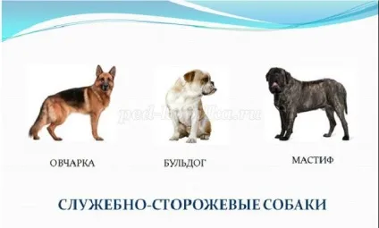 Ребуси для учнів 3-4 класів з відповідями (класів) Ребуси для учнів 3-4 класів з відповідями