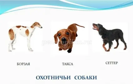Ребуси для учнів 3-4 класів з відповідями (класів) Ребуси для учнів 3-4 класів з відповідями
