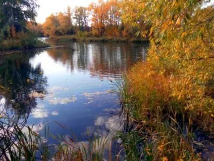 Річка Чагра, сайт присвячений туризму та подорожей (самара) Річка Чагра, сайт присвячений туризму і подорожей