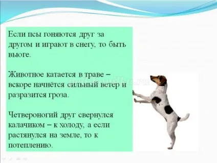 Ребуси для учнів 3-4 класів з відповідями (учнів) Ребуси для учнів 3-4 класів з відповідями