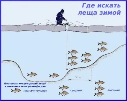 Рекомендації досвідченого рибалки про те, що потрібно знати про риболовлю в зимовий період (спосіб) Рекомендації досвідченого рибалки про те, що потрібно знати про риболовлю в зимовий період