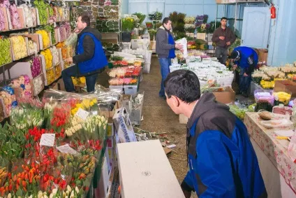 Ризький ринок квітів, квітковий ринок на ризькій час роботи, фото, відгуки, ринки Москви (квітів) Ризький ринок квітів, квітковий ринок на ризькій час роботи, фото, відгуки, ринки москви