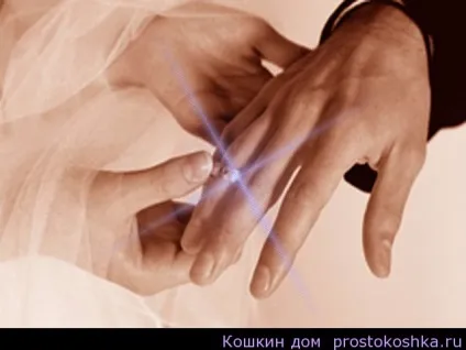 Ритуали на любов і заміжжя, котячий будинок (любов) Ритуали на любов і заміжжя, котячий будинок