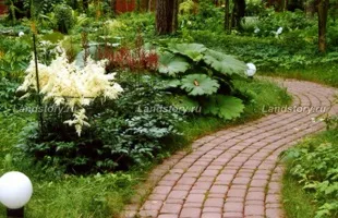 Садові доріжки з бруківки на дачі, красиві фото, укладання (садові) Садові доріжки з бруківки на дачі, красиві фото, укладання