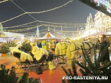 російське різдво