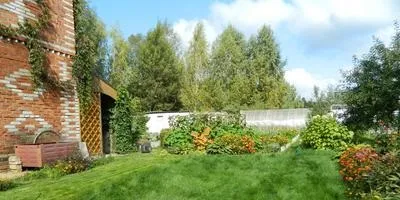 Рулонний газон критерії вибору і поради по догляду (газон) Рулонний газон критерії вибору і поради по догляду