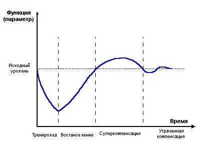 Зростання м'язів принципи і складові (м'язова маса) Зростання м'язів принципи і складові
