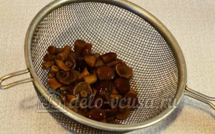 Салат з опеньками і помідорами рецепт з фото - покрокове приготування теплого салату з опеньками (салат з опеньками і помідорами) Салат з опеньками і помідорами рецепт з фото - покрокове приготування теплого салату з опеньками